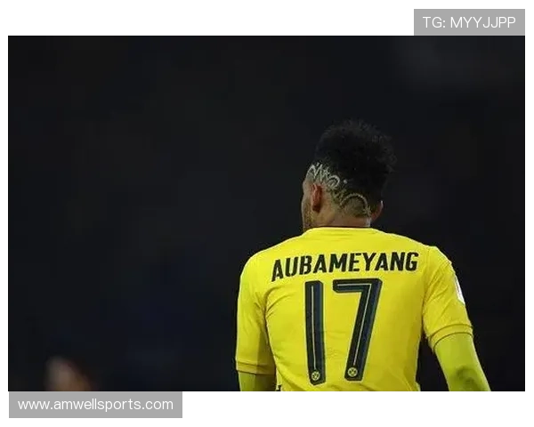 德国天空体育官网为体育爱好者打造一站式的赛事资讯和直播平台